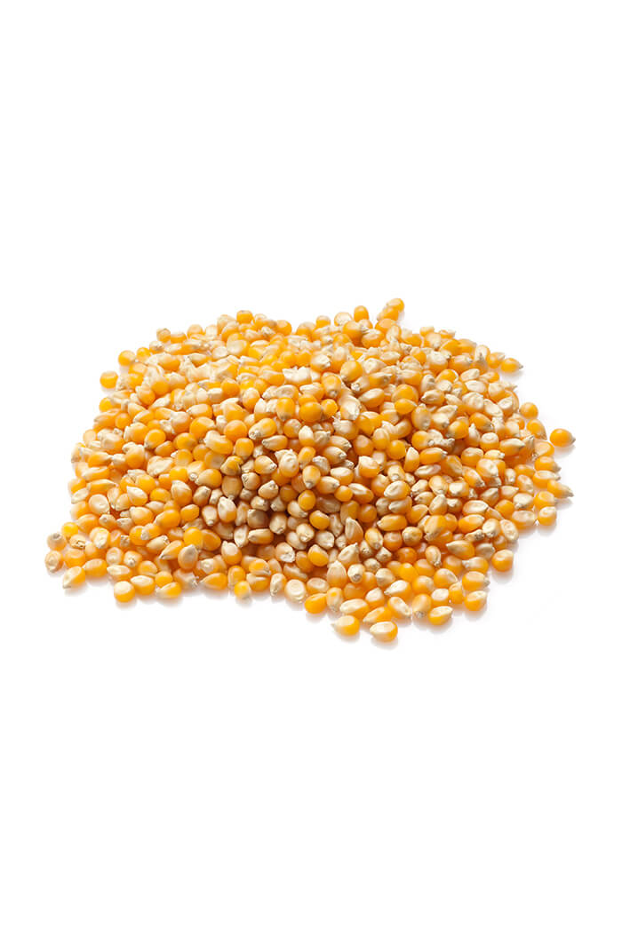 Corn