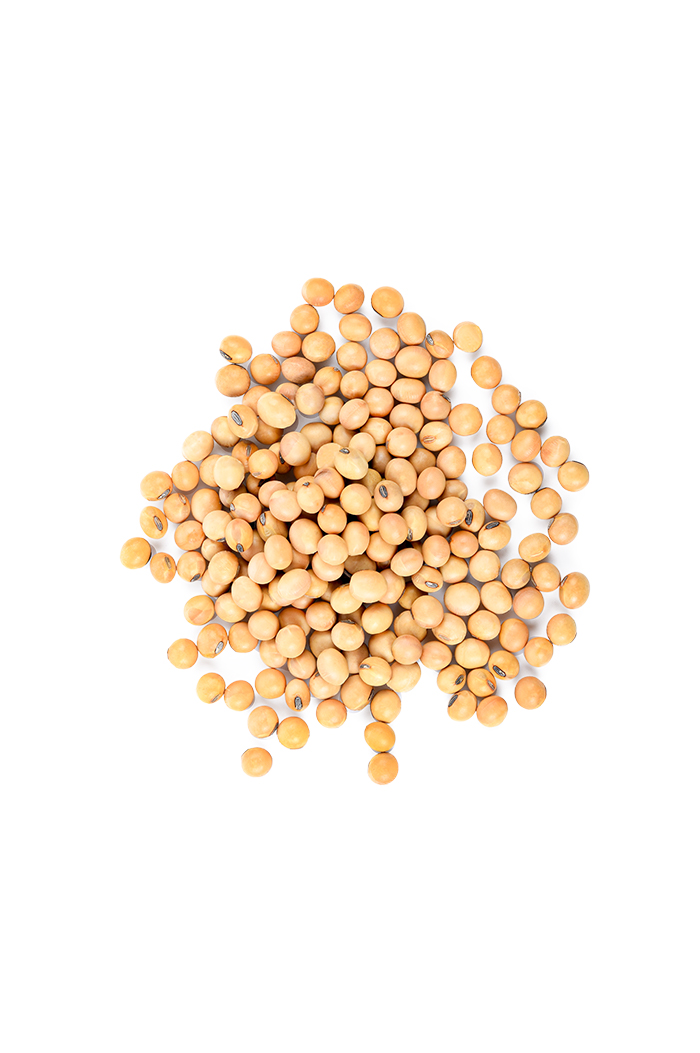 Soybean